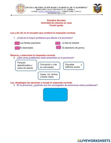 Tema: Mayor problema económico – social de la provincia.