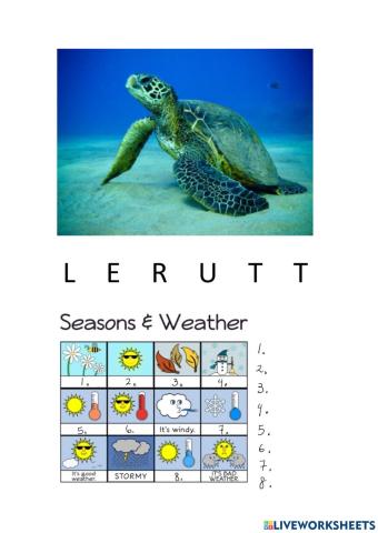 Weather and seasons- Sea Turtle- Environmental protection