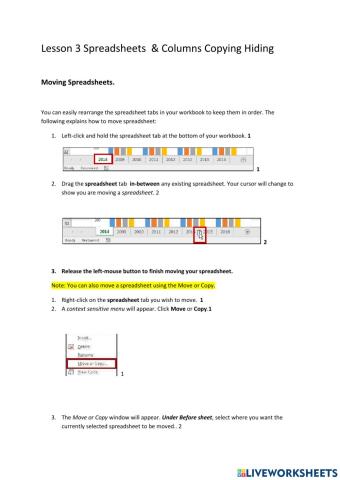 Lesson 3 Spreadsheet Columns Copying and Hiding