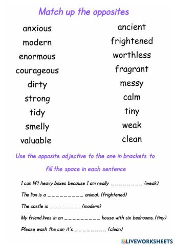 Adjectives and Opposites