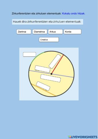 Zirkunferentzien eta zirkuluen elementuak: Kokatu ondo hitzak