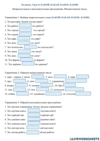 Калинка. Урок 8. КАКОЙ, КАКАЯ, КАКОЕ, КАКИЕ