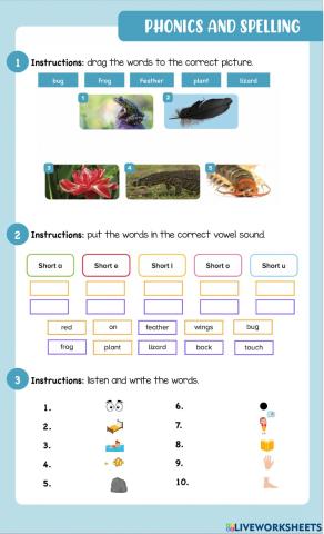 Short vowel