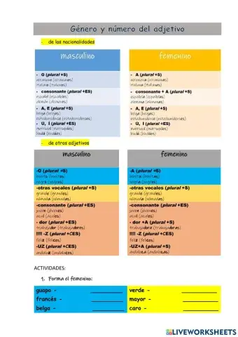 Género y número de los adjetivos