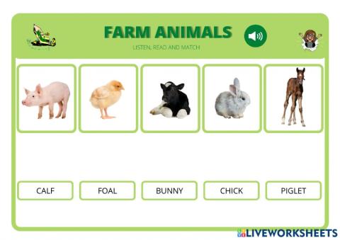 Baby farm animals-2