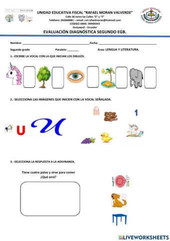 Evaluación diagnóstica