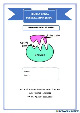 Metabolisme 1: Enzim