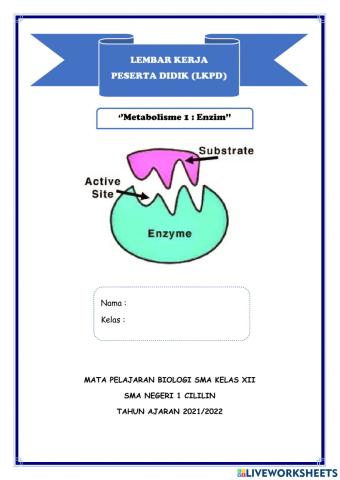 Metabolisme 1: Enzim