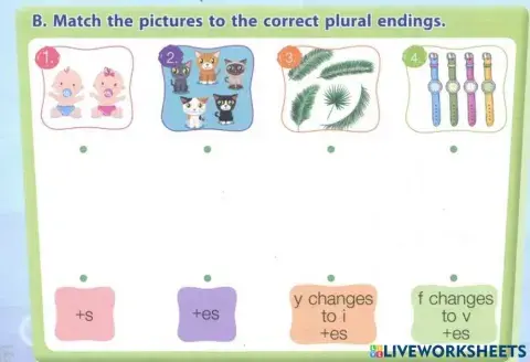 Match the picture to the correct plural endings.2