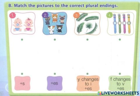 Match the picture to the correct plural endings.2