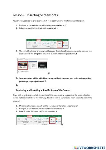 Lesson 6 Inserting Screenshots