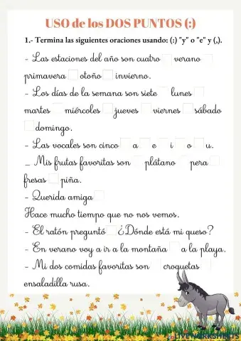 Uso de la coma y los dos puntos (I)