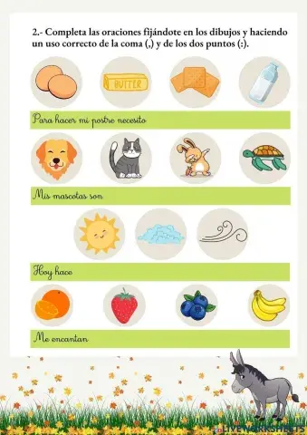 Uso de la coma y los dos puntos (II)