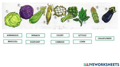 Vegetables 1