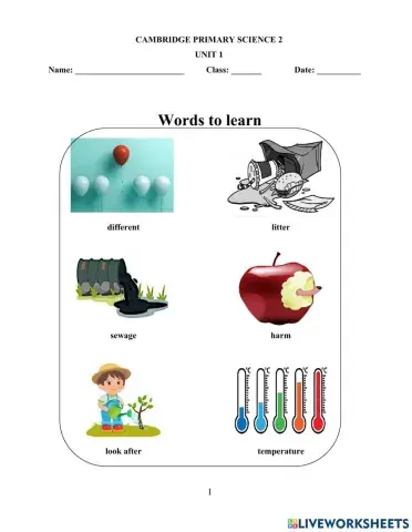 Cps2-summer homework-week 2