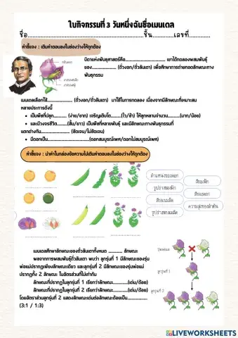 วันหนึ่งฉันชื่อเมนเดล