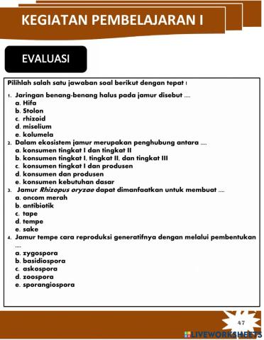 Evaluasi