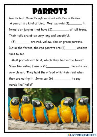 Parrots