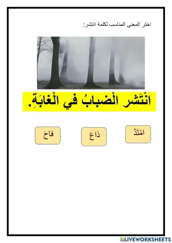 رحلتي في كلمة انتشر