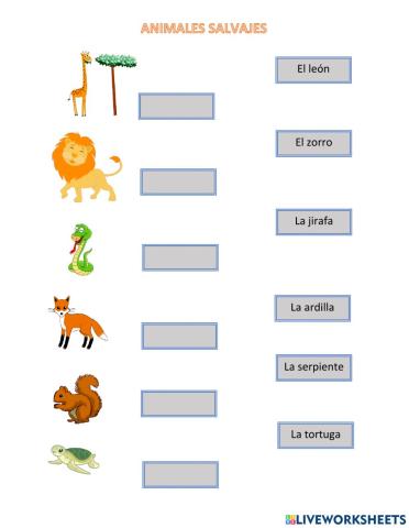 Animales Salvajes