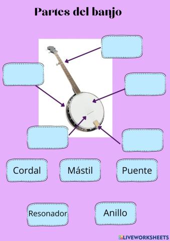 Partes del Banjo