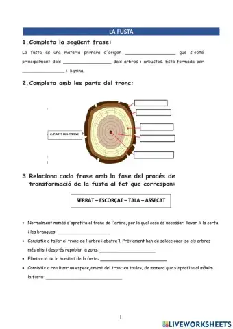 La fusta i els seus derivats