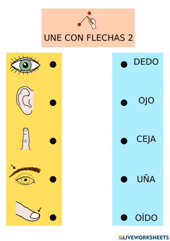 Unir palabra con dibujo