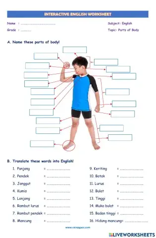 LKPD Interaktif Bahasa Inggris Tentang Parts of Body
