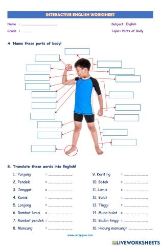 LKPD Interaktif Bahasa Inggris Tentang Parts of Body