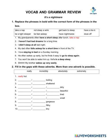 VOCAB AND GRAMMAR REVIEW It’s a nightmare