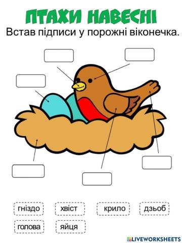 Птахи навесні