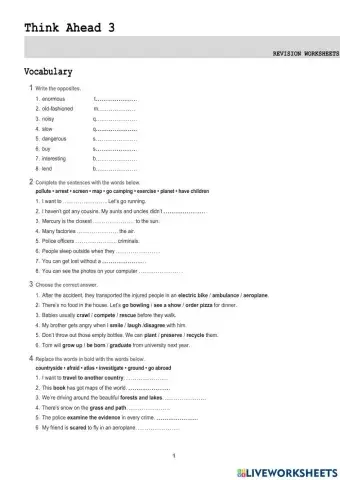 Grammar and Vocabulary Review Think Ahead 3