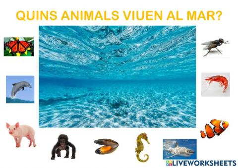 Animals del mar