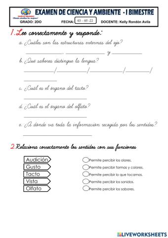 Examen
