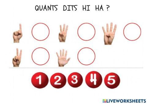 Quants dits hi ha?