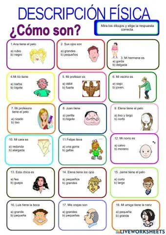 ¿Cómo son?