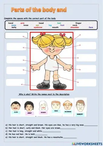 Parts of the body and description