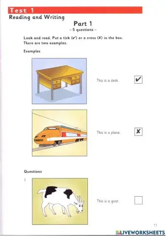 Starters 8 test 1 reading and writing