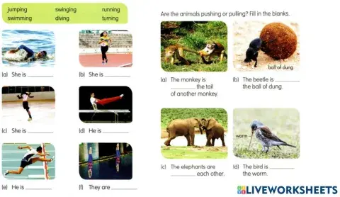 Sm sd 1 science push and pulls