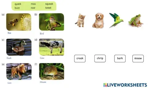 Sm sd 1 science sound