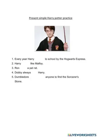 Present simple Harry potter practice