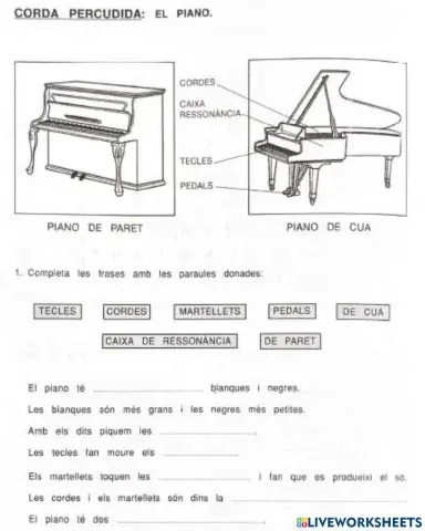 Corda percudida: el piano