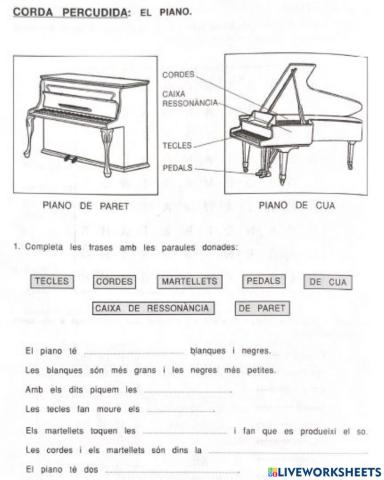 Corda percudida: el piano