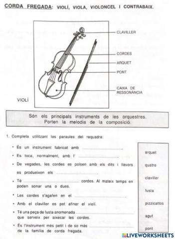 Instrument de corda fregada: el violí