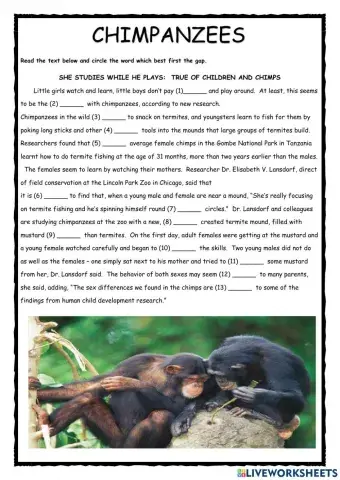 Chimpanzees Use of English