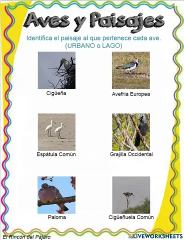 Aves en sus Paisajes