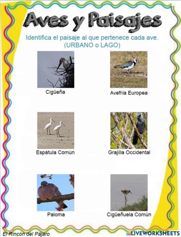 Aves en sus Paisajes