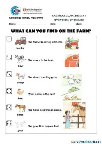CGE1-Review U5-Vocabulary