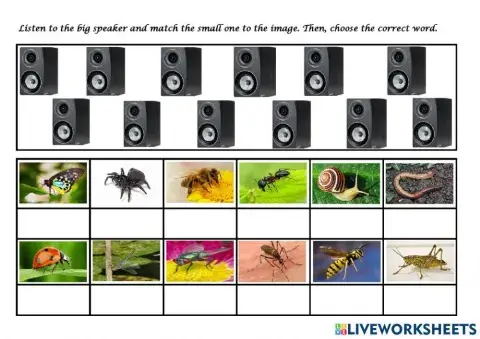 Insects (dropdown)