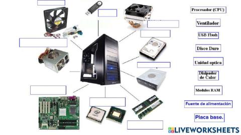 Componentes Hardware